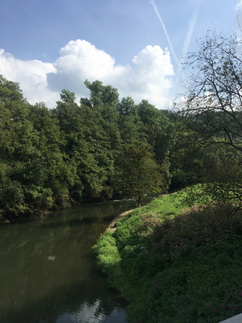 Tai Chi Impressionen 1