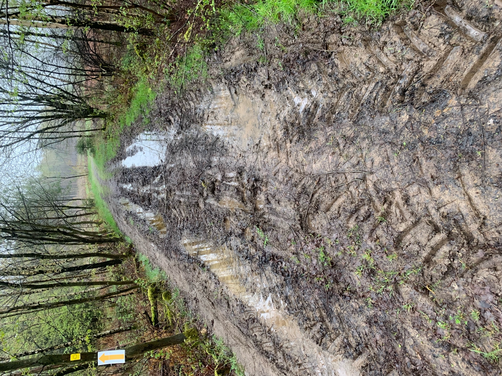 Bergische 50 2023 Strecke 2