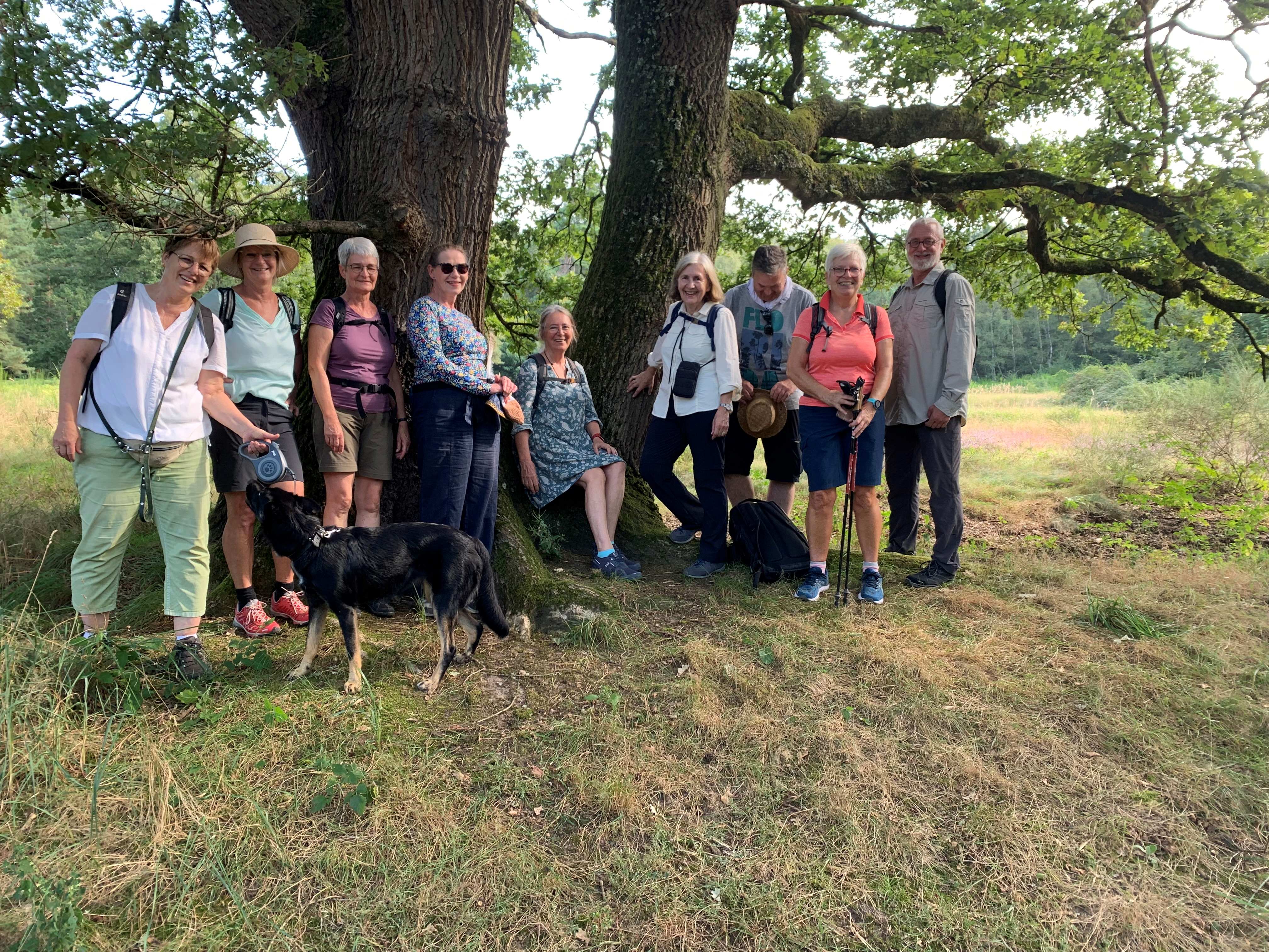 Grey Monday Wahner Heide 2