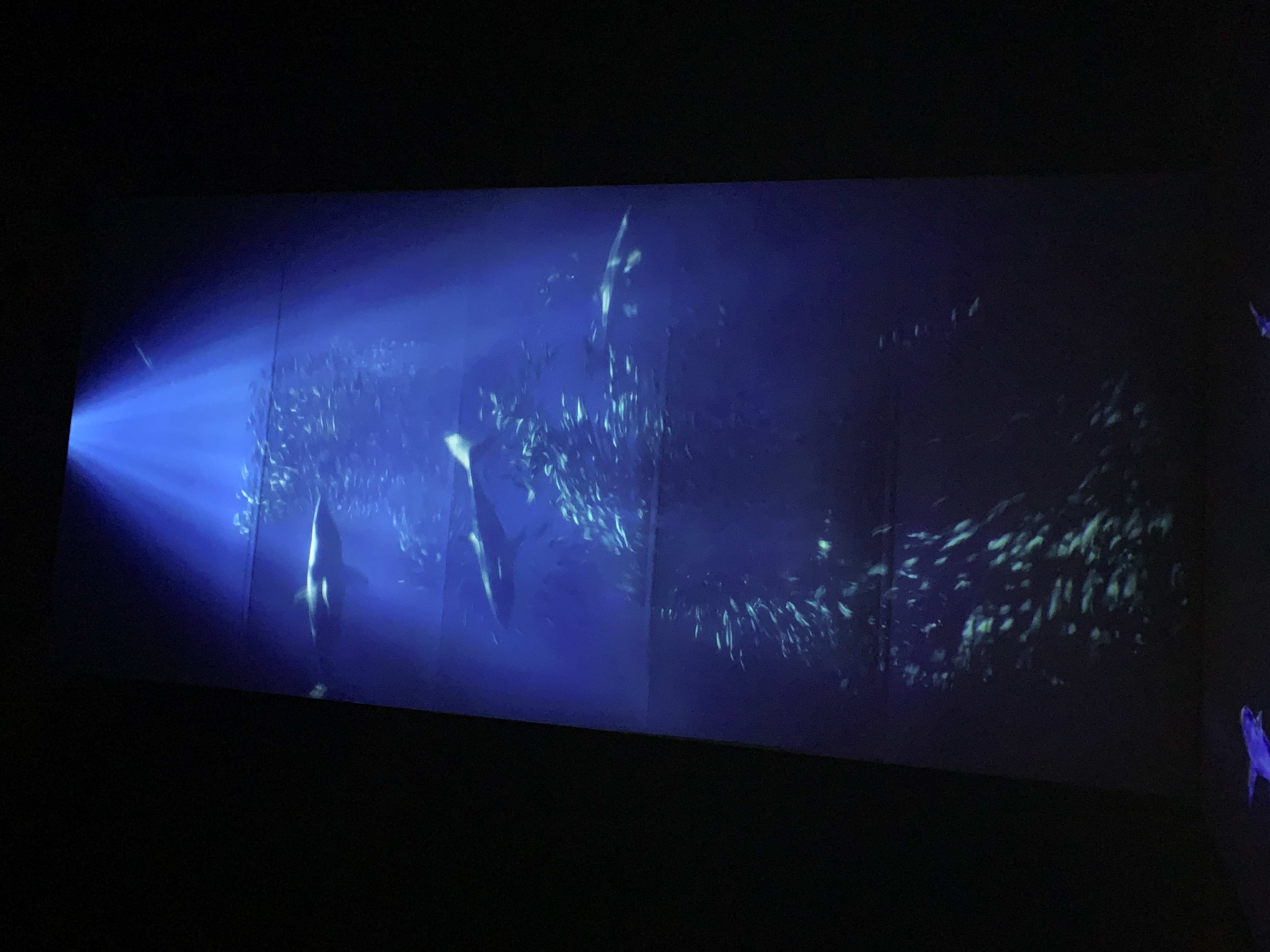 Grey Monday Gasometer 3